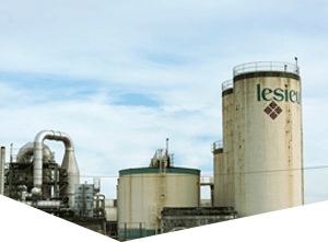 安全防护的呼死你免费试用在线